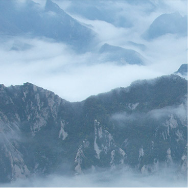电话测压在线平台